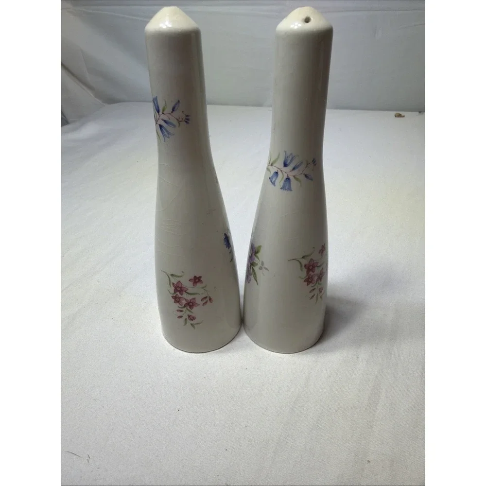 Old Foley James Kent Ltd Salt And Pepper Shakers Floral Pattern Vintage England